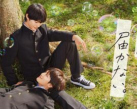 2025免费资料正版