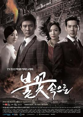 449999玄机火凤凰